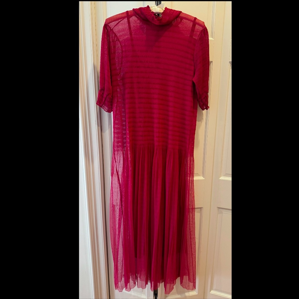 Zara Semi-Sheer Dress